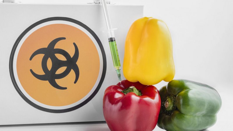Alimentos consumidos na UE com resíduos de pesticida com baixo risco para a saúde