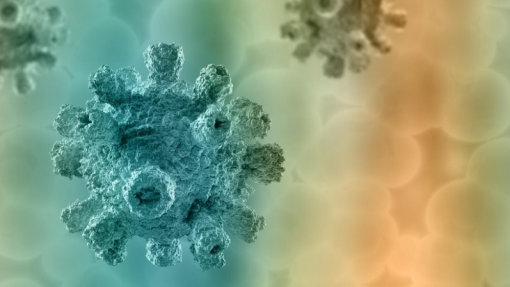 Espanha avalia dados recolhidos em Cabo Verde para decidir escala de barco com hantavírus