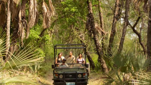 Parque moçambicano da Gorongosa prestou serviços de saúde a mais de 160 mil pessoas