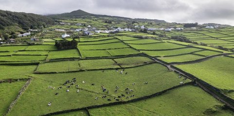 AÇORES: Associação ecológica realizou intercâmbio com associação ambientalista polaca