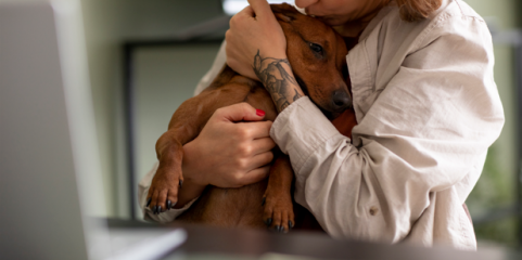 Hospital de Cascais e associação assinam protocolo para terapia assistida por animais