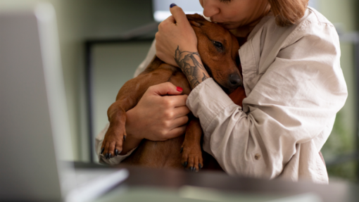 Hospital de Cascais e associação assinam protocolo para terapia assistida por animais