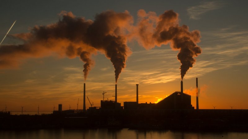 Plano sobre poluição atmosférica deve centrar-se na prevenção, pede Conselho Saúde e Ambiente