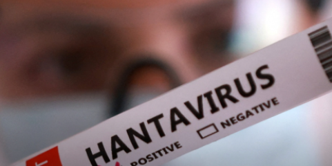 Hantavírus: Argentina reforça vigilância epidemiológica em todo o país