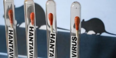 Hantavírus: Tudo preparado nas Canárias para "operação sem precedentes"