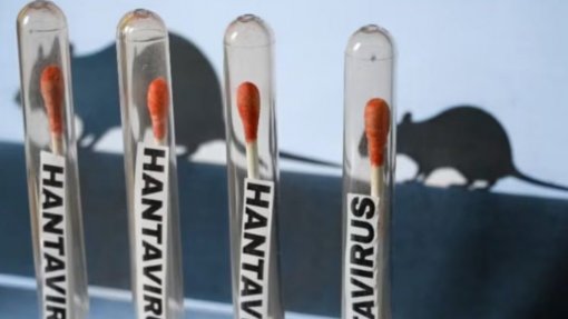 Hantavírus: Tudo preparado nas Canárias para "operação sem precedentes"