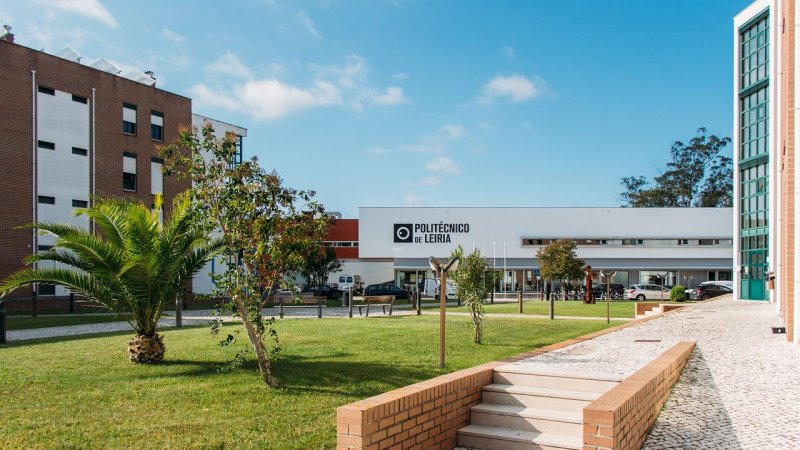 Projeto desenvolvido em Leiria quer criar sistema inteligente para toma de medicação