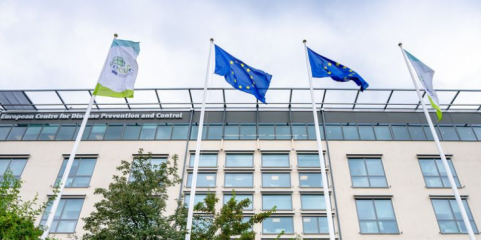 Hantavírus: Centro europeu admite mais casos nas próximas semanas