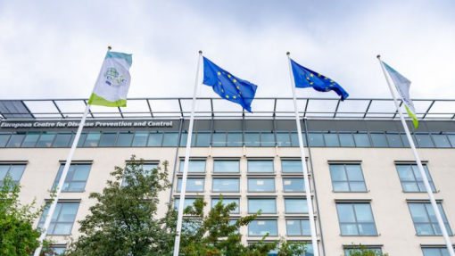 Hantavírus: Centro europeu admite mais casos nas próximas semanas