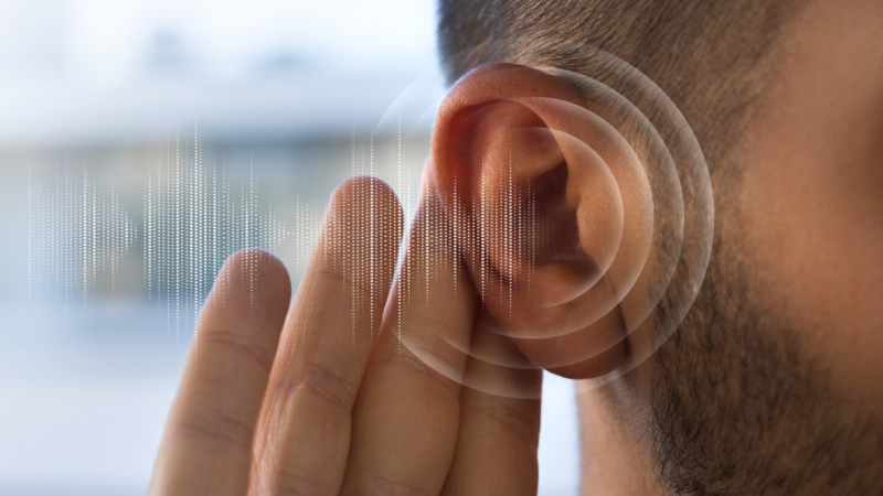 Sistema de audição controlado pelo cérebro distingue uma voz no meio da multidão