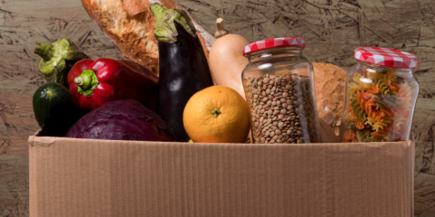 Síria: ONU obrigada a reduzir “consideravelmente” ajuda alimentar