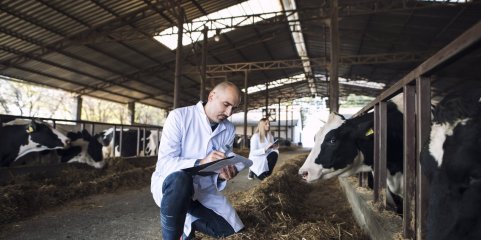 Organização Mundial da Saúde Animal alerta para subfinanciamento da prevenção de doenças
