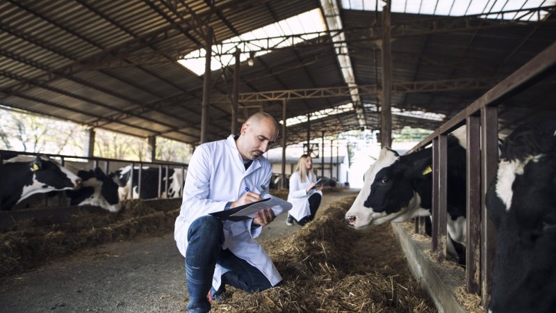 Organização Mundial da Saúde Animal alerta para subfinanciamento da prevenção de doenças