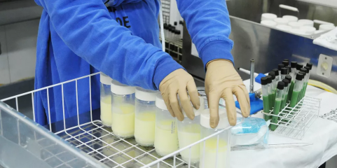 Banco de Leite Humano do Norte já alimentou 410 recém-nascidos internados em cuidados intensivos