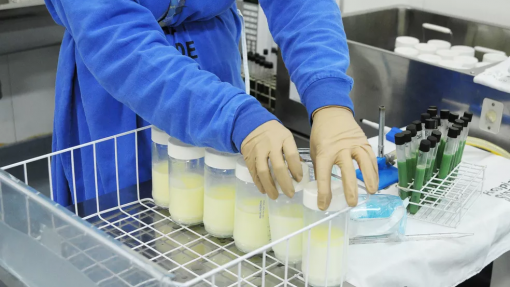 Banco de Leite Humano do Norte já alimentou 410 recém-nascidos internados em cuidados intensivos