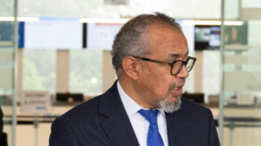 Hantavírus e ébola "são as crises mais recentes no mundo conturbado" - OMS