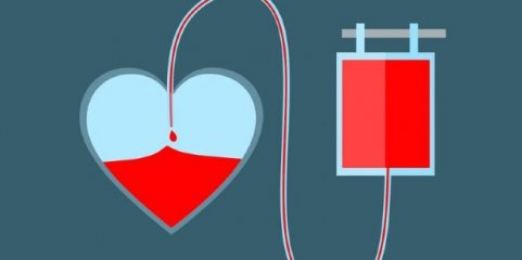 Parlamento rejeita dias de férias adicionais para dadores regulares de sangue