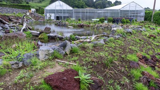 AÇORES: Governo Regional assinala Dia Internacional da Diversidade Biológica