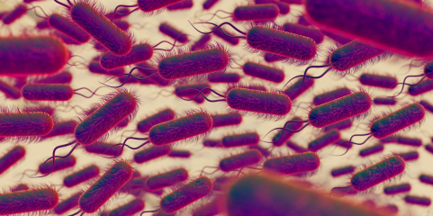Cientistas descobrem ponto fraco de uma das 15 bactérias mais perigosas para os humanos
