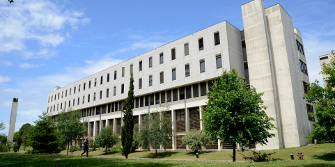 U.Porto abre Clínica Universitária de Nutrição à comunidade em setembro