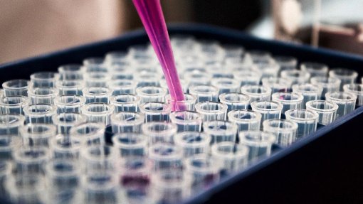 Núcleo Norte da Liga Contra Cancro atribui novas bolsas de investigação clínica