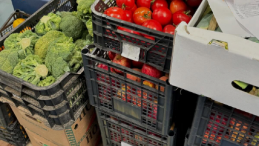 Campanha do Banco Alimentar de Cabo Verde recolheu 10 toneladas de doações