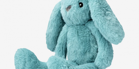 Autoridade das Atividades Económicas da Madeira determina recolha de peluches por risco de asfixia