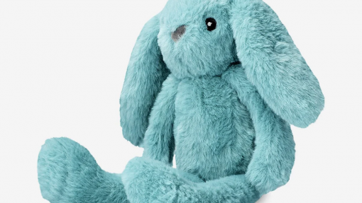 Autoridade das Atividades Económicas da Madeira determina recolha de peluches por risco de asfixia