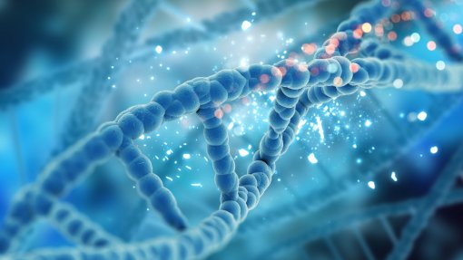 Estudo identifica maior número de associações genéticas relacionadas com ansiedade
