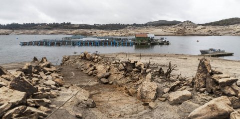 Cerca de 648.000 crianças expostas a seca em Portugal - UNICEF