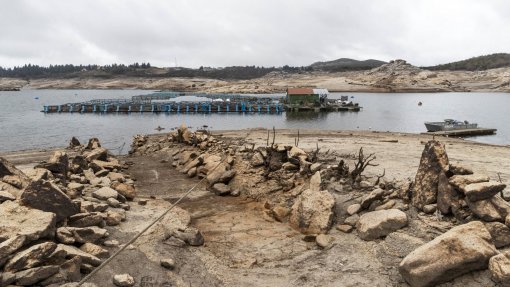 Cerca de 648.000 crianças expostas a seca em Portugal - UNICEF