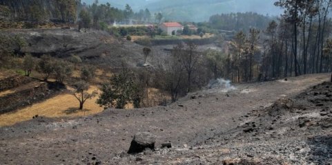 Incêndios: Vinte e três concelhos de cinco distritos em perigo máximo