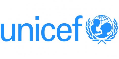 Unicef Portugal defende verificação de violência doméstica em consultas