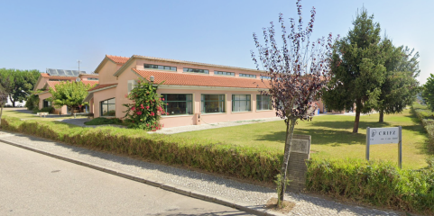 "Uma Imagem Solidária" recolheu quase 22 mil euros para centro de recuperação infantil