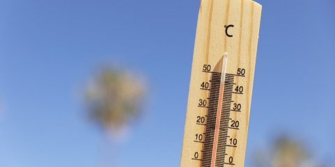 Aviso laranja por causa do calor estende-se a todo o continente na sexta-feira – IPMA