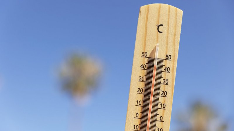 Aviso laranja por causa do calor estende-se a todo o continente na sexta-feira – IPMA