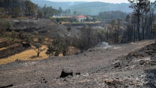Incêndios: Perigo máximo em 60 concelhos do interior e muito elevado em mais de 100