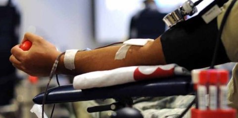 Federação apela à dádiva de sangue e lembra que alguns níveis estão abaixo do desejável