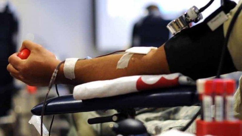 Federação apela à dádiva de sangue e lembra que alguns níveis estão abaixo do desejável