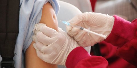 Administração de vacinas contra covid-19 baixou e contra a gripe estabilizou - DGS