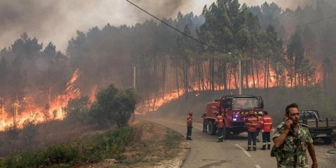 Proteção Civil alerta para perigo de incêndio rural muito elevado nos próximos dias devido a tempo quente