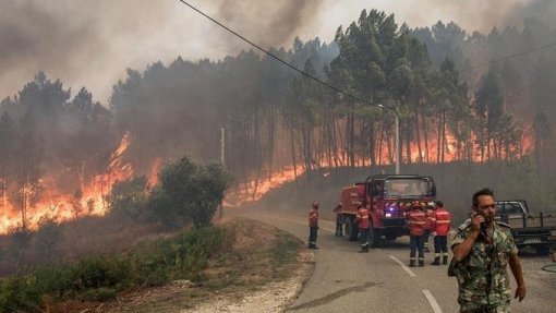 Proteção Civil alerta para perigo de incêndio rural muito elevado nos próximos dias devido a tempo quente