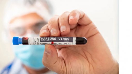 Um caso de vírus de Marburg confimado esta semana no Uganda - OMS