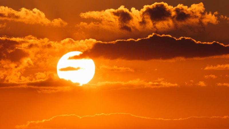 Calor: Direção-Geral da Saúde eleva nível de risco para laranja