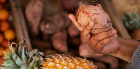 PR moçambicano nomeia primeiros quadros da Inspeção-geral de Segurança Alimentar