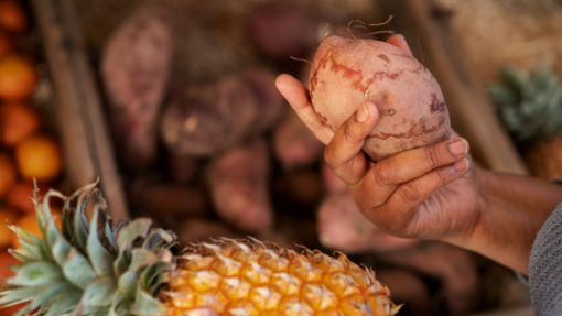 PR moçambicano nomeia primeiros quadros da Inspeção-geral de Segurança Alimentar