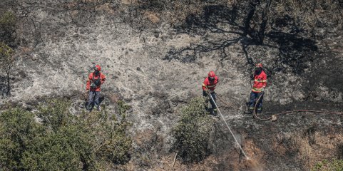 Cerca de uma centena de concelhos em perigo máximo de incêndio