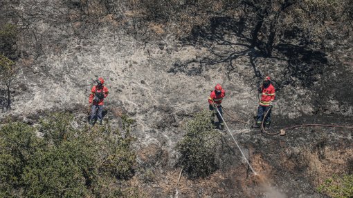 Cerca de uma centena de concelhos em perigo máximo de incêndio