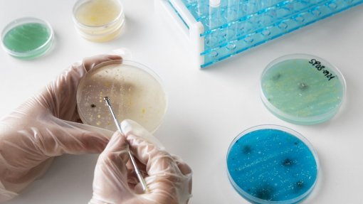 Descoberto novo método de combate a bactérias resistentes a antibióticos