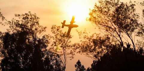 Incêndios: Cerca de uma centena de concelhos em perigo máximo
